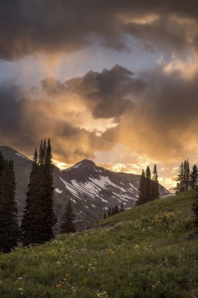Framed Mountain Evergreens Print