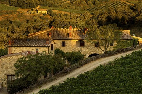 Framed Country Road Print
