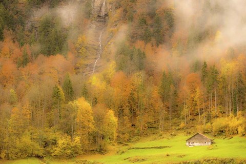 Framed Fall Colors Print