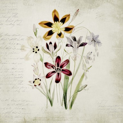 Framed Wild Flowers One Print