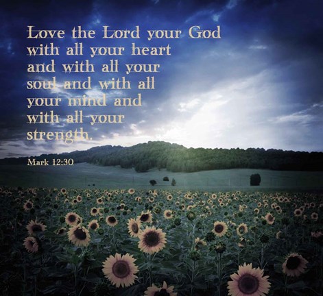 Framed Mark 12:30 Love the Lord Your God (Sunflowers) Print