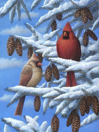 Framed Cardinals Print