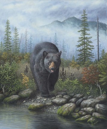 Framed Smoky Mountain Black Bear Print
