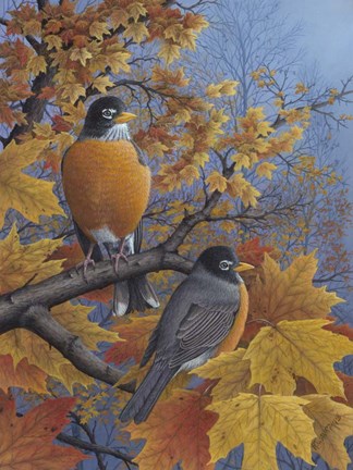 Framed Robins Print