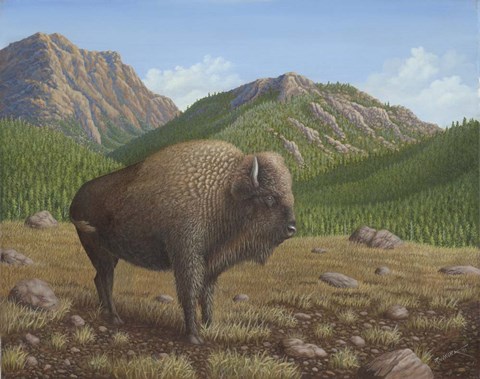Framed Bison Print