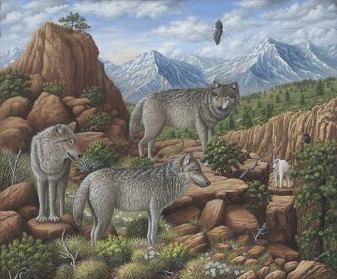 Framed Scouting the Horizon - Grey Wolves Print