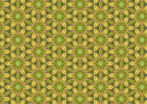 Framed Foliage 6 Print