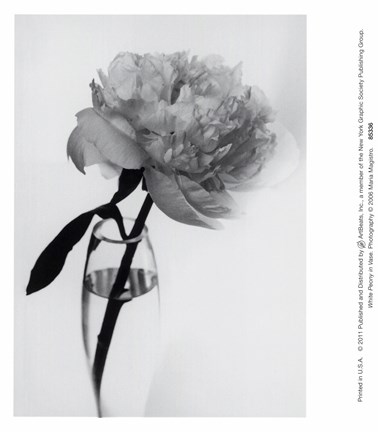 Framed White Peony In Vase Print