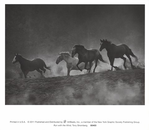 Framed Run With The Wind Print