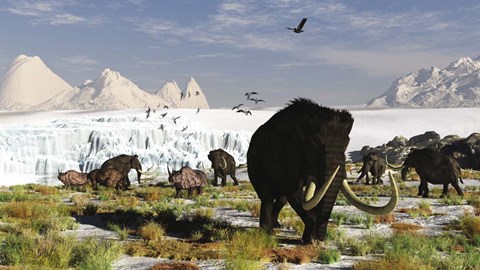 Framed Woolly Mammoths and Woolly Rhinos in a Prehistoric Landscape Print