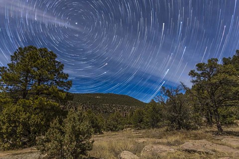 Framed Circumpolar star trails over the Gila National Forest in southern New Mexico Print