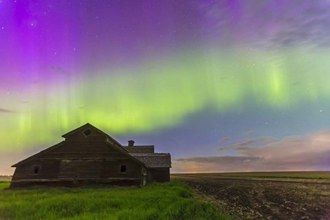Framed Purple Aurora over an old barn, Alberta, Canada Print