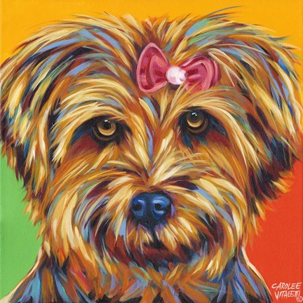 Framed Sweet Yorkie I Print