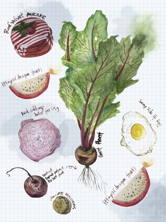 Framed Food Sketches II Print