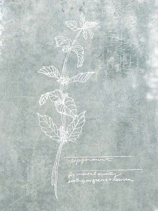 Framed Essential Botanicals III Print