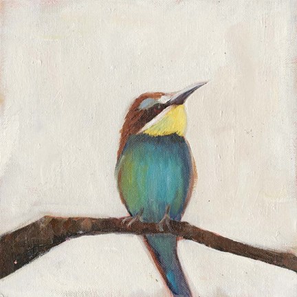 Framed Bird Profile II Print