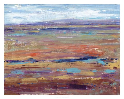 Framed Terra Vista IV Print