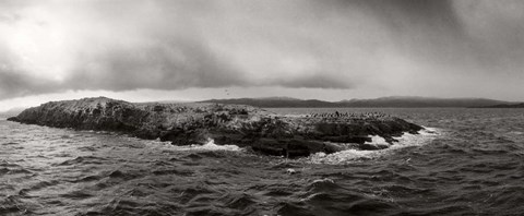 Framed Island of arctic birds and sea lions, Beagle Channel, Patagonia, Argentina Print