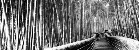 Framed Stepped walkway passing through a bamboo forest, Arashiyama, Kyoto, Japan Print