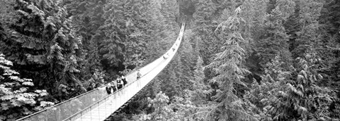 Framed Capilano Bridge, Suspended Walk, Vancouver, British Columbia, Canada BW Print