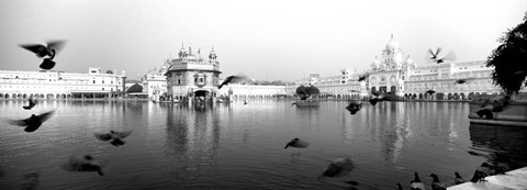 Framed Reflection of Golden Temple, Amritsar, Punjab, India (black &amp; white) Print