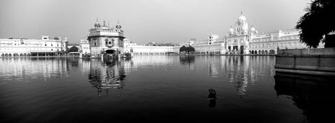 Framed Temple at the waterfront, Golden Temple, Amritsar, Punjab, India Print