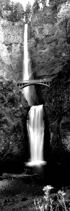 Framed Waterfall in a forest, Multnomah Falls, Columbia River Gorge, Oregon Print