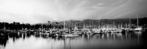 Framed Boats moored in harbor at sunset, Santa Barbara Harbor, California Print