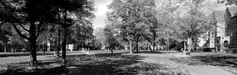 Framed Group of people at University of Notre Dame, South Bend, Indiana Print
