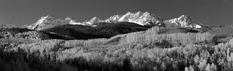 Framed Colorado, Rocky Mountains, aspens, autumn Print