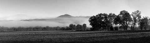 Framed Fog over mountain, Cades Cove, Great Smoky Mountains National Park, Tennessee Print