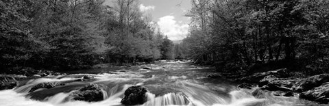 Framed Little Pigeon River, Great Smoky Mountains National Park, Tennessee Print