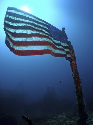 Framed American Flag on a Sunken Ship in Key Largo, Florida Print