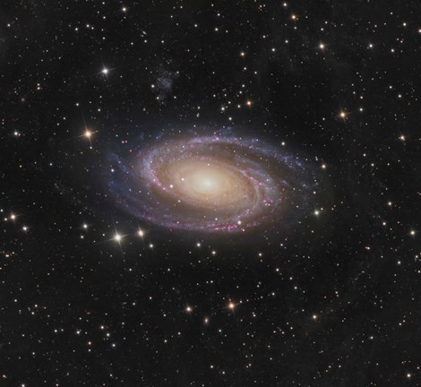 Framed Messier 81 spiral galaxy in the Constellation Ursa Major Print