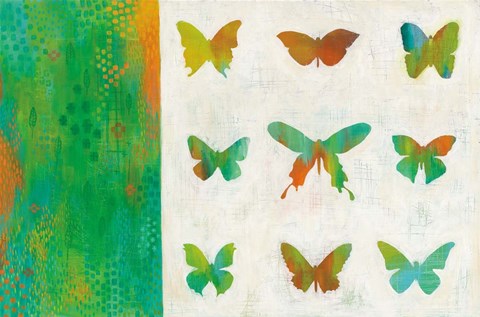 Framed Flight Patterns II Print