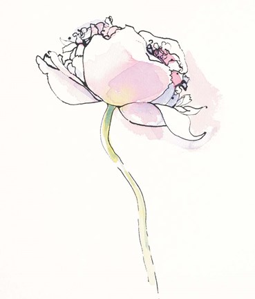 Framed Single Pink Somniferums I on White Print