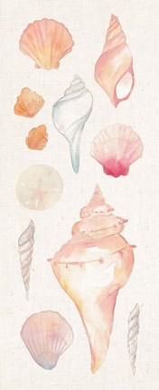 Framed Sea Gems II Print