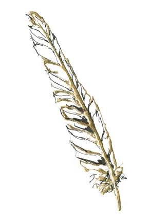 Framed Gilded Swan Feather I Print