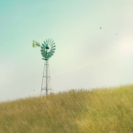 Framed Farm Morning IV Square Print