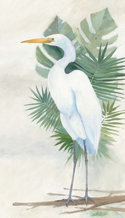 Framed Standing Egret II Print