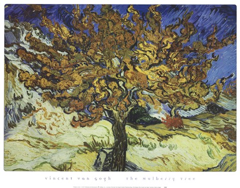 Framed Mulberry Tree Print