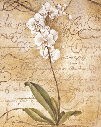 Framed Calligraphy Orchid Print