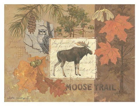 Framed Moose Trail Print