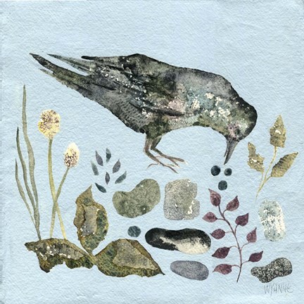 Framed Fallen Blueberries Print