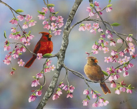 Framed Spring Cardinals Print