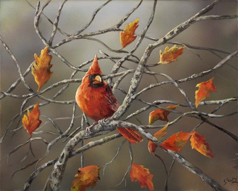 Framed Fall Cardinal Print
