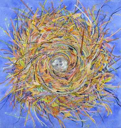 Framed Nest III-Vortex Print