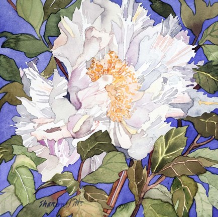 Framed White Peony Print