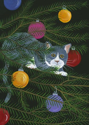 Framed Out On A Limb Print