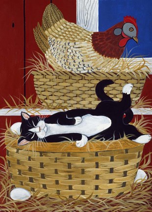 Framed Good Place For A Nap Print